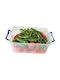 Viosarp Plastic Lunch Box 10000ml