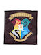 Harry Potter Διακοσμητική Μαξιλαροθήκη 40x40εκ Hp201062 Μαύρο