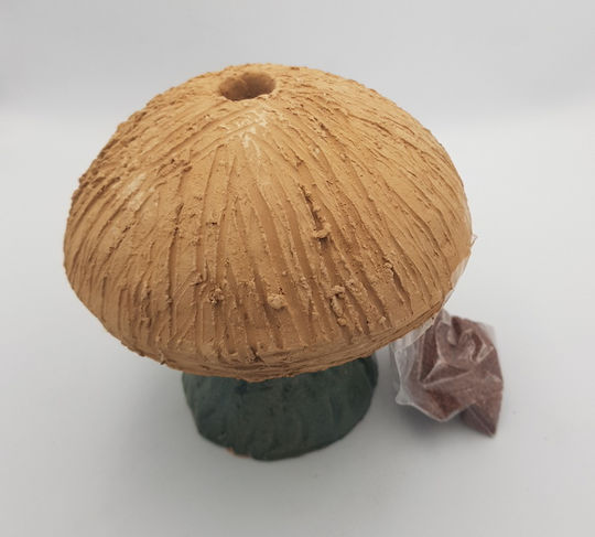 Hollow Mushroom Figure Boxed Cress Seed