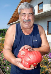 Seeds Tomatoς