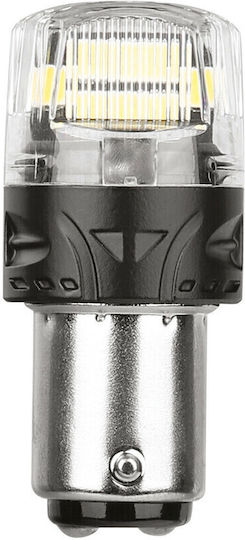 Lampa Lamps Car R5W / BA15D Canbus LED 6500K Cold White 12V 2pcs