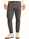 Trousers Cargo in Regular Fit Gray