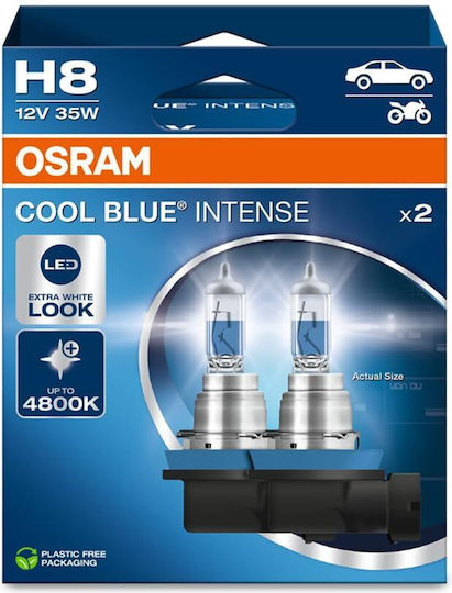 Osram Lamps Car & Motorcycle H8 Halogen 5000K Cold White 12V 35W 2pcs