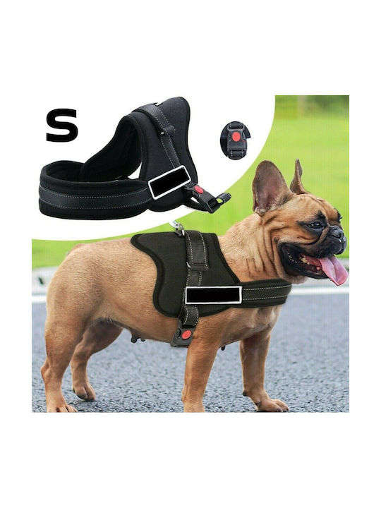 Ham Dogs Senior Dog S 60 75cm