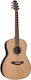 Takamine Acoustic Guitar Natural / Walnut