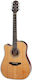 Takamine Ακουστική Κιθάρα Gd20-ce Dreadnought Natural Satin / Natural