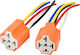Car Relay 12V
