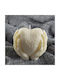 Hold My Heart Лавандула
