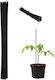 Relaxdays Plant Stakes Set 50 Bamboo Iron Climb...