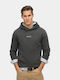 Micro Logo Sweatshirt with Hood Gray