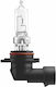Osram Крушка за Автомобил и Мотор HB3 12V 60W