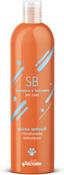 7038 Σαμπουάν Conditioner 2 1 250 Ml