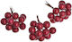 Red Blackberry Branch 36 Pieces