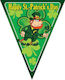 Dekorative Girlande St Patrick's 5m #es_84373