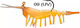 Ryuji Ayu Shrimp – Silicone Shrimp 7.5cm Jighead 7.2g 4 Colours #9