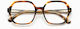 Woodys Brown Chiara
