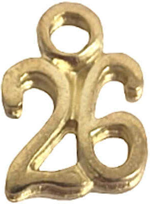 Hanging Metal Charm