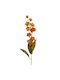 Gisela Graham Artificial Orange Magnolia Branch Antique 84 Cm