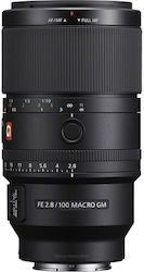 SONY F2.8 SEL16F28＋VCL-ECU＋VCL-ECF E F2,8 de 16 mm | SEL16F28 | Sony Romania