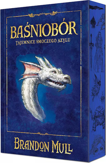 Tajemnice Smoczego Azylu. Baśniobór. Tom 4 (ilustrowane Brzegi)
