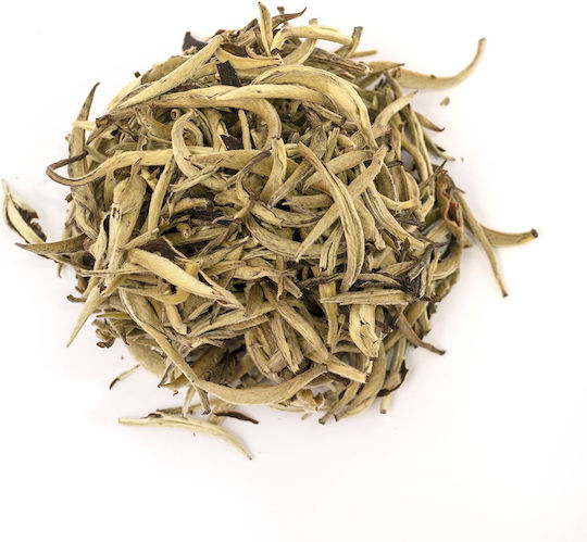 Silver Needles Yin Zhen White Tea China Champion 10g