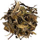 Special Pai Mu Tan White Tea China Champion 50g