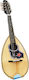 Acoustic Mandolin