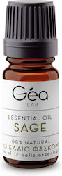 Gea Lab Αιθέριο Έλαιο Φασκόμηλο 10ml