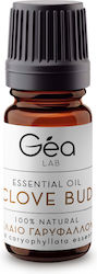 Gea Lab Αιθέριο Έλαιο Γαρύφαλλο 10ml Gea Lab Αιθέριο Έλαιο Γαρύφαλλο 10ml