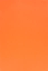 Evelatus Rückseitenfolie Orange