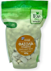 Eu Bio Eubio Grüne Große Bohnen 400g Eu Bio Eubio Grüne Große Bohnen 400g