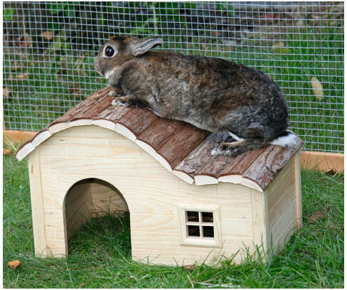 Rodent Cabin Lightweight Curved Roof WxDxH 40 X 25 X 25 Cm