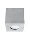 Sollux Spot with 10 Lights in Gray Color