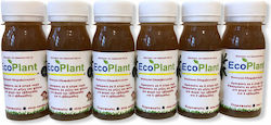 EcoPlant Υγρό Βελτιωτικό Δράσης 60ml 4τμχ