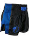 Super Pro Combat Gear Kick Boxing Shorts Brave Blue S