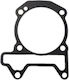 Cylinder Gasket Voge Sr3 250 E5 2024 Sr3 250 E5+ 2025 Genuine