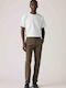 Xx Hose Chino Olive