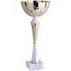 Silver Trophy Sports
