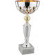 Silber Pokal Sportarten