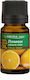 Aroma Inter Ätherisches Öl Zitrone 10ml