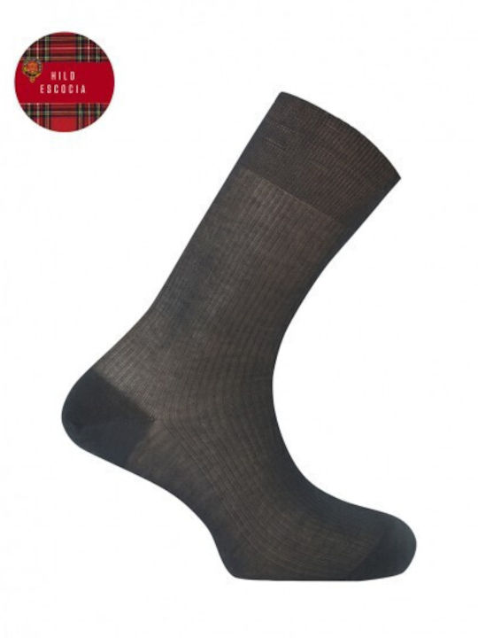 Ribbed Fil D'écosse Socks Punto Blanco Black Ribbed Fil D'écosse Socks Punto Blanco Black