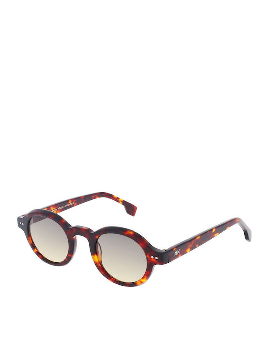 Invu Unisex Sunglasses with Brown Frame KT22403C