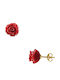 14K Gold Coral Earrings F314047c