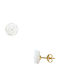 14K Gold Earrings Shell Pearl F314047s