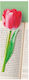 Σελιδοδείκτης If Flower Painted Pink Tulip