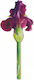 Semn De Carte If Flower Pictat Iris