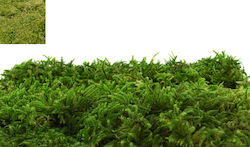 Moss Синтетичен Килим 2м X 1м 0516214