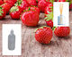 Strawberry Fragrance Refill Reed Diffuser 200ml