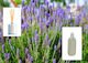 Άρωμα Λεβάντα Αναγόμωση Reed Diffusser 200ml
