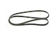 Bosch Ribbed Transmission Belt 1 987 946 271